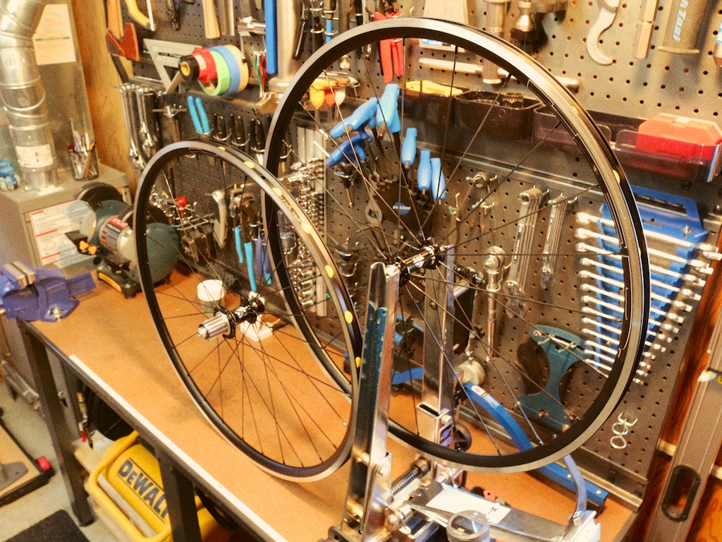 HED Belgium rims laced radial front, 2x rear